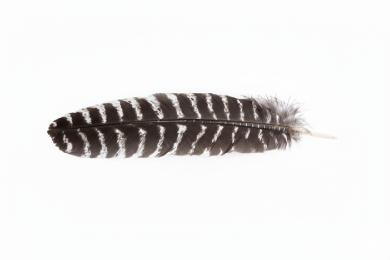 Smudge Feather Turkey 10"-12"