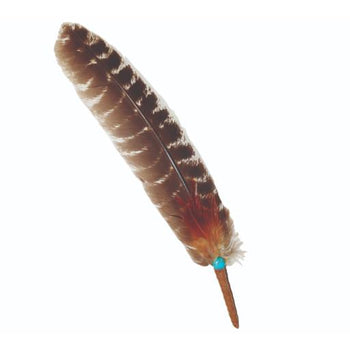 Grade A Turkey Smudge Feather w/ Turquoise Bead 10"-12"