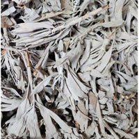1/4lb California White Sage Clusters