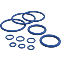 Crafty+ & Crafty Replacement Seal Ring Set Storz & Bickel