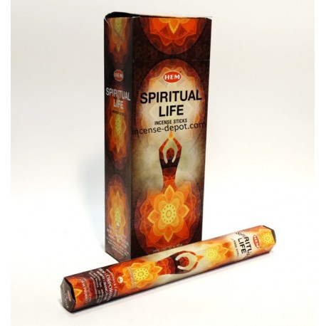 HEM Spiritual Life 9″ Incense Sticks – Hex Box (20g)